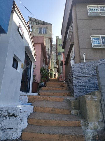 IMG_20260517_084857940.jpg