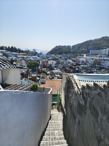 IMG_20260517_091402926_HDR.jpg