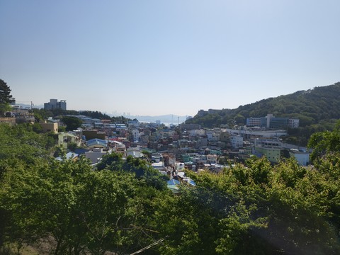 IMG_20260517_091002642.jpg
