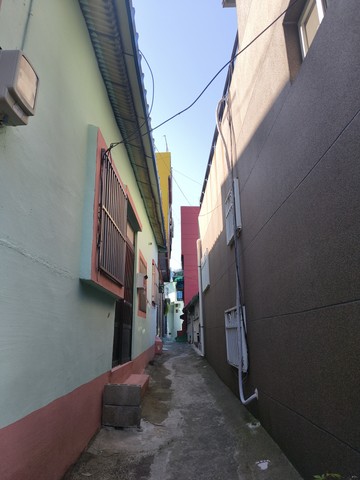 IMG_20260517_085004565.jpg
