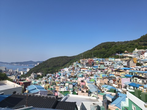 IMG_20260517_084713384.jpg