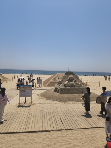 IMG_20260517_121605018.jpg