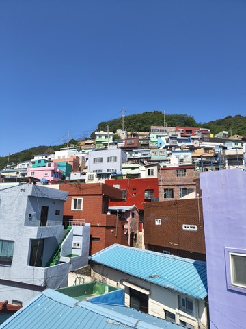 IMG_20260517_094612912.jpg