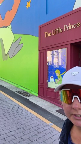 VID_20260517_094723986.mp4
