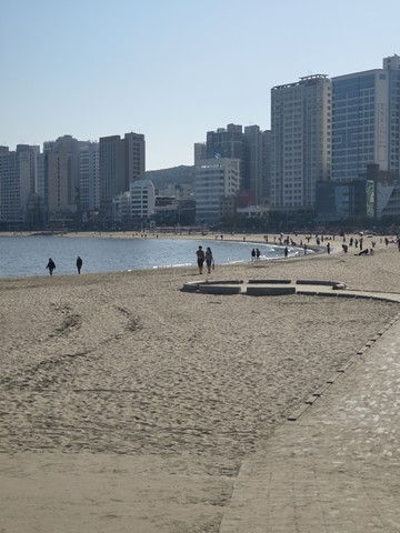 IMG_20260518_162026356_HDR.jpg