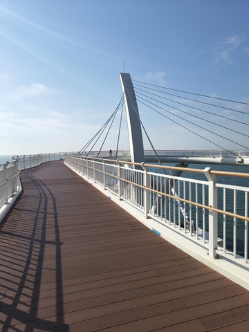 IMG_20260519_082227211.jpg