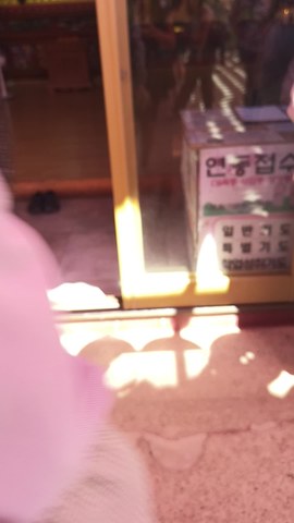 VID_20260519_102344986.mp4