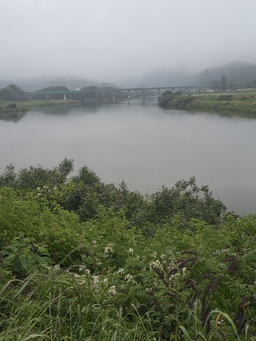IMG_20260521_081710633.jpg