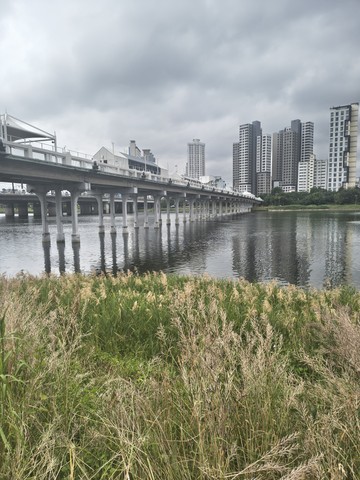 IMG_20260522_093423429_HDR.jpg