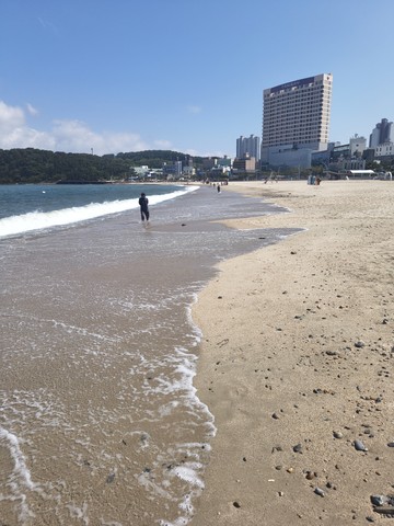 IMG_20260522_145313959.jpg