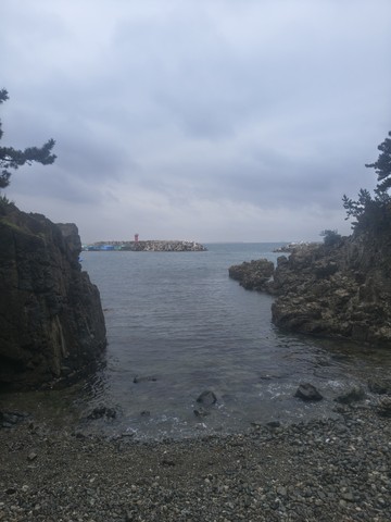 IMG_20260520_164637226_HDR.jpg
