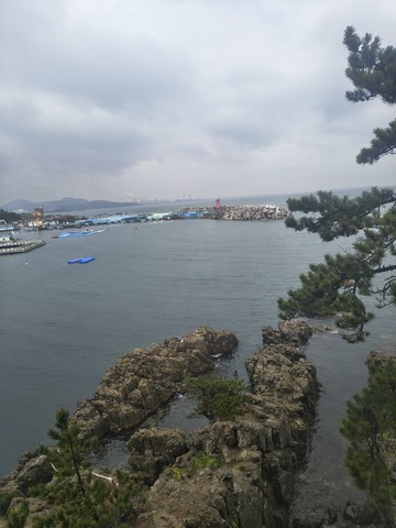 IMG_20260520_164514417_HDR.jpg