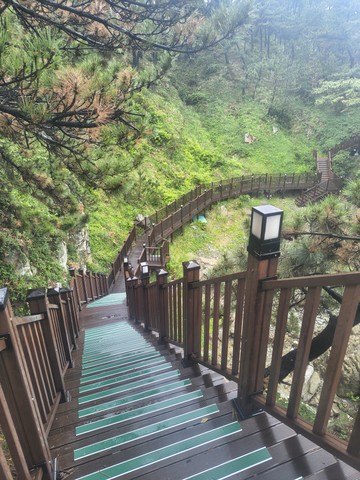IMG_20260520_164501751_HDR.jpg