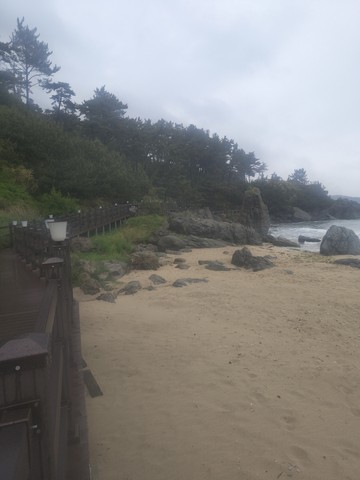 IMG_20260520_172646203.jpg