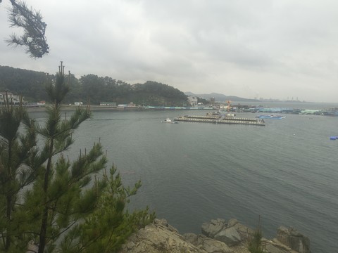 IMG_20260520_164818039.jpg