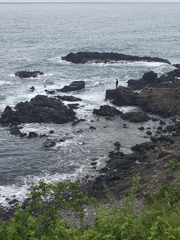 IMG_20260523_123033118.jpg
