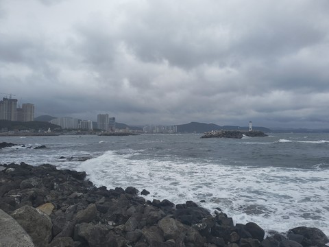 IMG_20260523_090844396.jpg