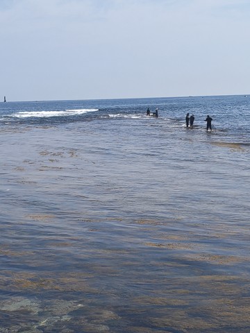IMG_20260524_101543234.jpg