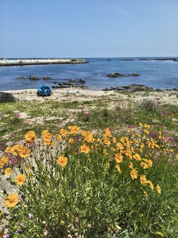 IMG_20260524_125116310_HDR.jpg