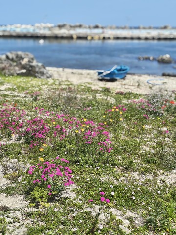 IMG_20260524_125100294_HDR_PORTRAIT.jpg