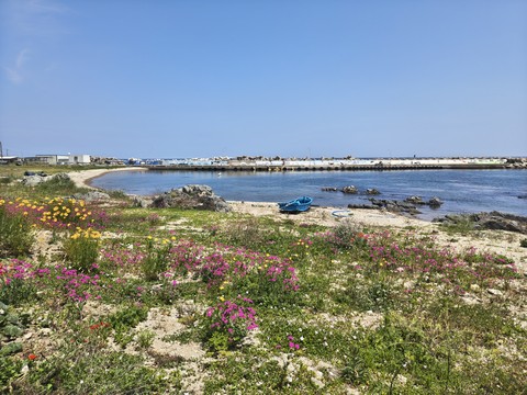 IMG_20260524_125048608_HDR.jpg