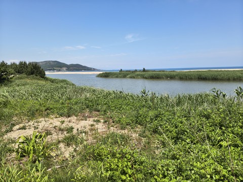 IMG_20260526_121740272_HDR.jpg