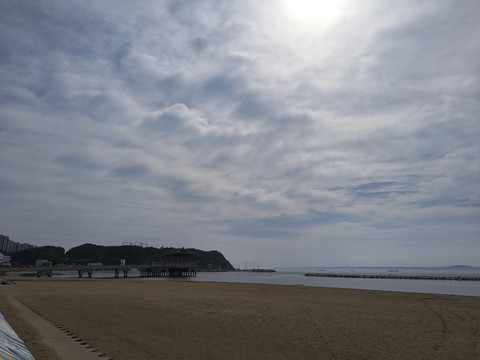 IMG_20260526_085650262.jpg