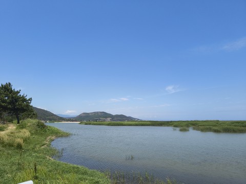 IMG_20260526_121554192.jpg