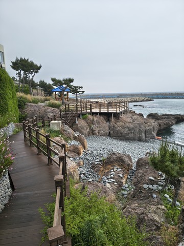 IMG_20260527_104708856_HDR.jpg