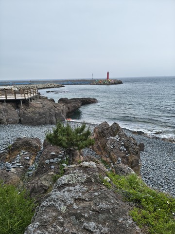 IMG_20260527_104702092_HDR.jpg