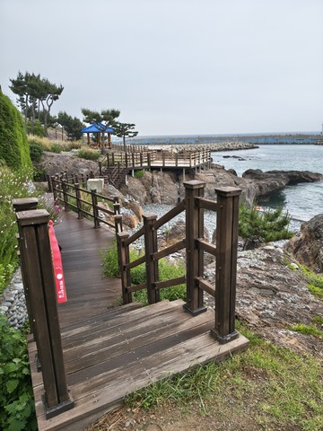 IMG_20260527_104651058_HDR.jpg