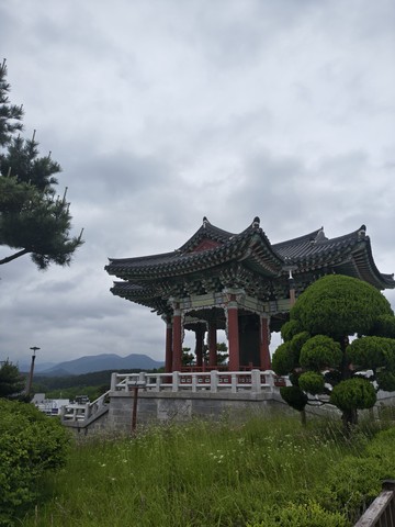 IMG_20260527_140729084_HDR.jpg