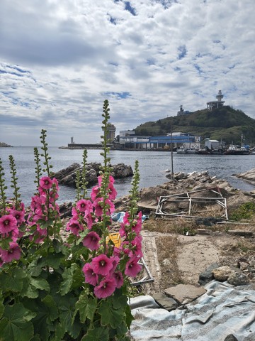 IMG_20260528_095734740_HDR.jpg