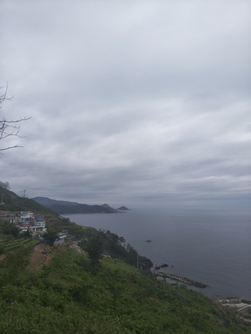IMG_20260528_074747736_HDR.jpg