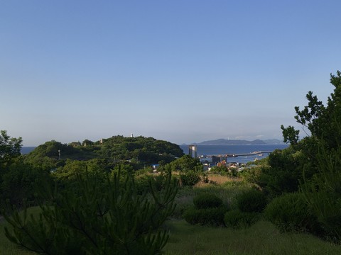 IMG_20260529_062827278.jpg