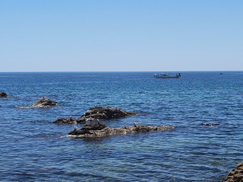 IMG_20260530_111057440.jpg
