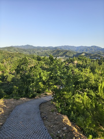 IMG_20260531_062639488_HDR.jpg