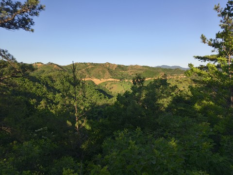 IMG_20260531_062338410.jpg