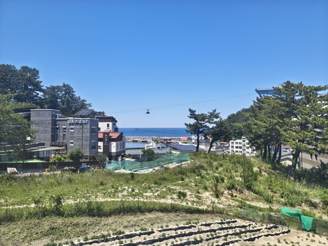 IMG_20260531_125716858_HDR.jpg