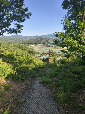 IMG_20260531_063442426.jpg