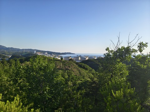 IMG_20260531_062619608_HDR.jpg
