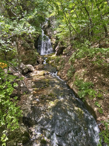 IMG_20260601_114251249_HDR.jpg