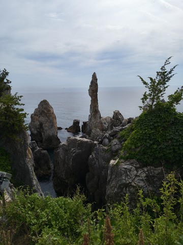IMG_20260601_090134045.jpg