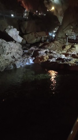 VID_20260601_121135773.mp4