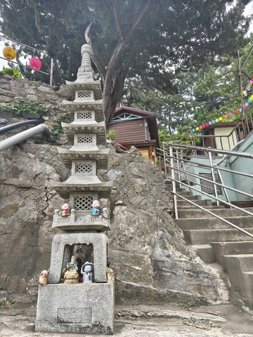 IMG_20260602_111741149_HDR.jpg