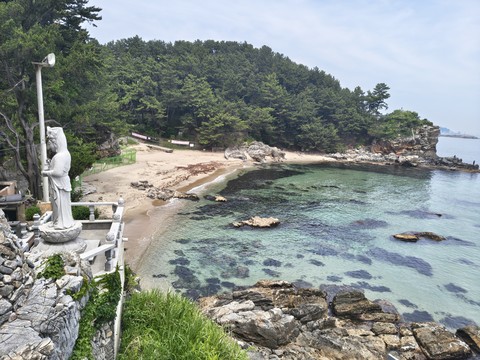 IMG_20260602_112846416_HDR.jpg