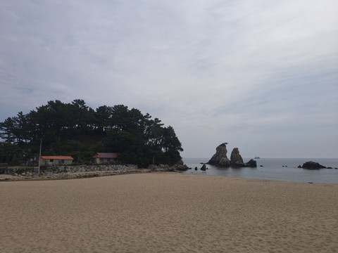 IMG_20260602_090104684.jpg