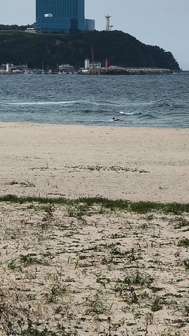 VID_20260602_170044189.mp4