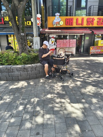 IMG_20260603_123337621_HDR.jpg