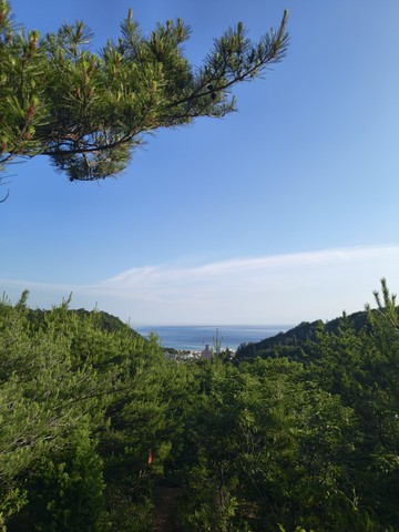 IMG_20260603_070936440.jpg